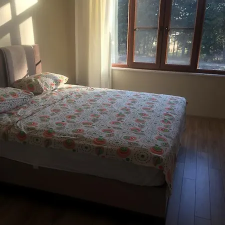 Secret Paradise Bungalow & Hisaronu